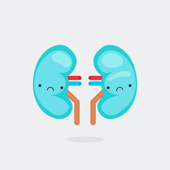 Kidney characters vector illustration