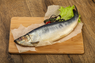 Herring fish