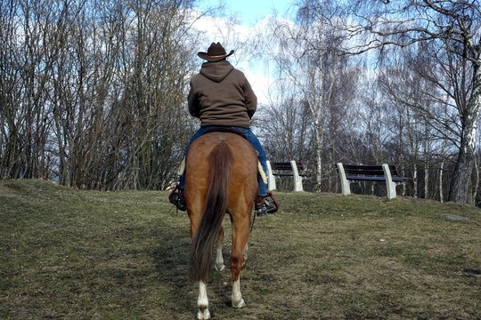 pferde auf dem schreckenberg