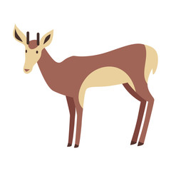 Young Deer Vector Illustration in Flat Design
