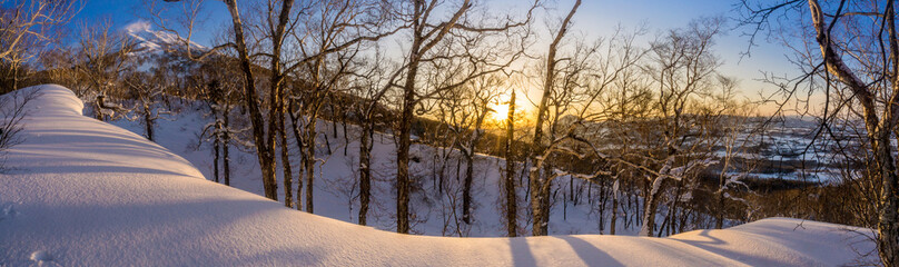Sunrise Through the Trees