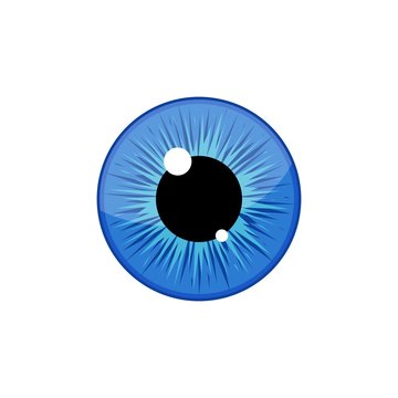 Human blue eyeball iris pupil isolated on white background. Eye