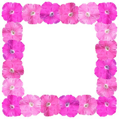 Beautiful floral background with pink petunias 
