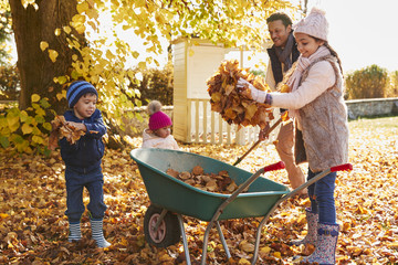 Children Helping Father To Collect Autumn Leaves In Garden - obrazy, fototapety, plakaty