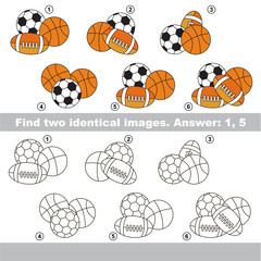 Visual game. Find hidden couple of objects.