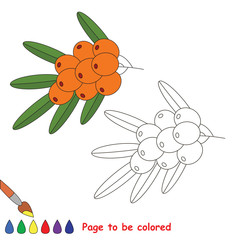 Coloring kid game. Educational page to be colored.