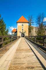 Fototapeta na wymiar Entrance to Ozalj Castle in the town of Ozalj, Croatia, Europe