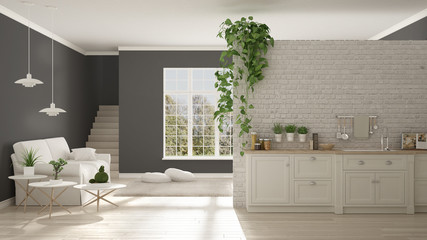 Scandinavian white and gray minimalist living with kitchen, open space, one room apartment, classic interior design