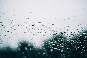raindrops on a car window With blurry dark forest silhouette in background