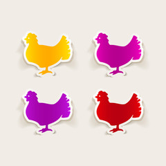 realistic design element: chicken