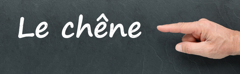 Obraz premium Le chêne à la craie et montrer du doigt sur ardoise