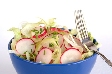 Salat mit Radieschen