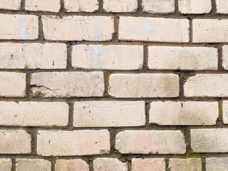 Fototapeta premium White brick wall, perfect as a background, texture
