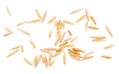 Corn oats on a white background