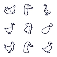 Set of 9 poultry outline icons