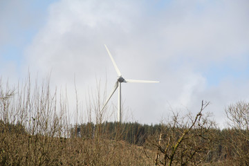 Wind turbine Isolated in a high grass field
