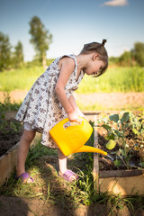 kid girl watering seedlings garden, kitchen garden