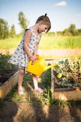 kid girl watering seedlings garden, kitchen garden