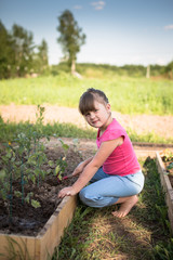 Child girl cares for vegetables on garden, ecology