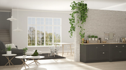 Scandinavian white and gray minimalist living with kitchen, open space, one room apartment, classic interior design