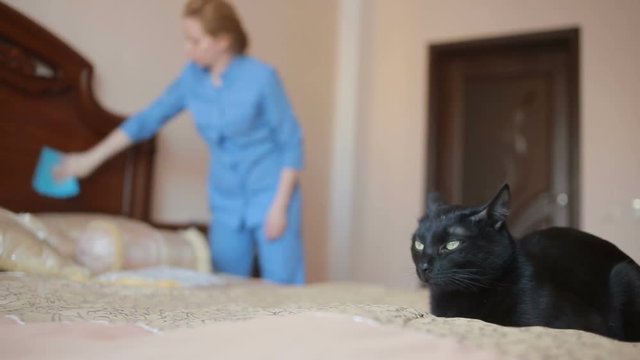 Maid doing cleaning in the bedroom