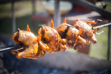Grilled chicken on rotating machine
