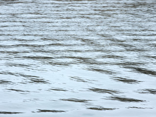 水面の揺らぎ