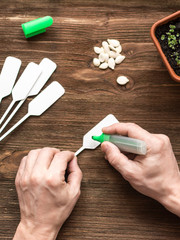 Flat lay scenery: gardener marks plant labels for seeds on wooden table before seeding. Spring home garden concept image above view.