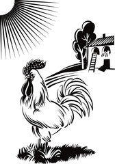 rooster in a meadow in search of food, in the background a chicken coop. © serghi8