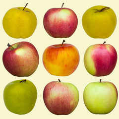Different apples