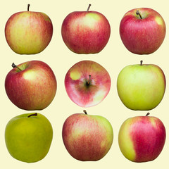 Different apples