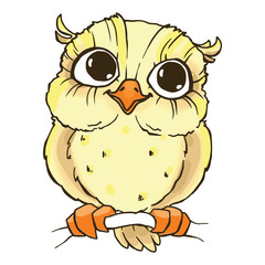 Colorful cute owl. Line draw, hand-drawn contour on a white background