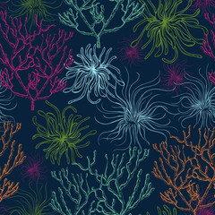Naklejka premium Collection of marine plants, corals and seaweed. Vintage seamless pattern with hand drawn marine flora. Vector illustration in line art style.