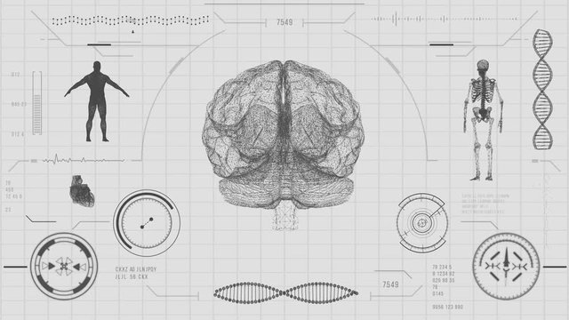 Human brain scan. Futuristic medical user interface with HUD and infographic elements. Virtual technology background. Head-up display template for business, games, motion design, web and app. - Powered by Adobe