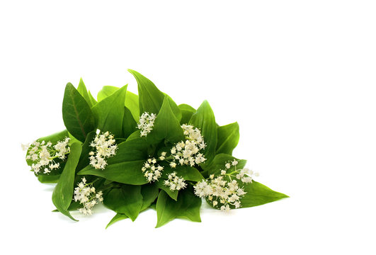 Bouquet of flowers Maianthemum bifolium (false lily of the valley or May lily) on a white background with space for text.