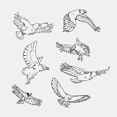 Hand-drawn pencil graphics. Birds of prey set. - 140486823