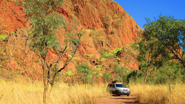 Driving 4 wheel drive in the outback of western australia off road in the bush land