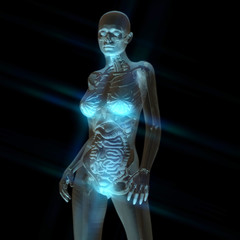 Digital 3D Rendering of the female human Anatomy