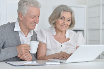 Elderly couple with a laptop