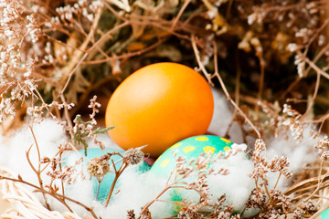 Colorful easter eggs close up