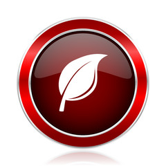 Plant vector icon.