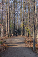 Obraz premium Enjoying the path