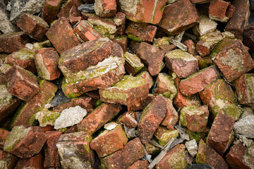 Red bricks from a demolition site covered in moss