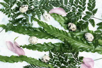 Easter Quail eggs and pink petals on green leaves