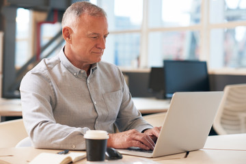 Fototapeta na wymiar Focused mature businessman working on a laptop in an office