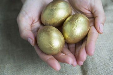 Holding GoldenEgg
