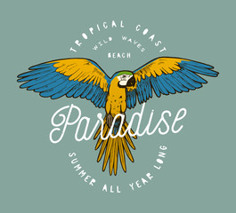 colorful paradise parrot grunge label print