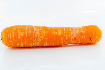 carrot