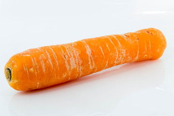 carrot