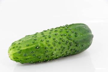 cucumber